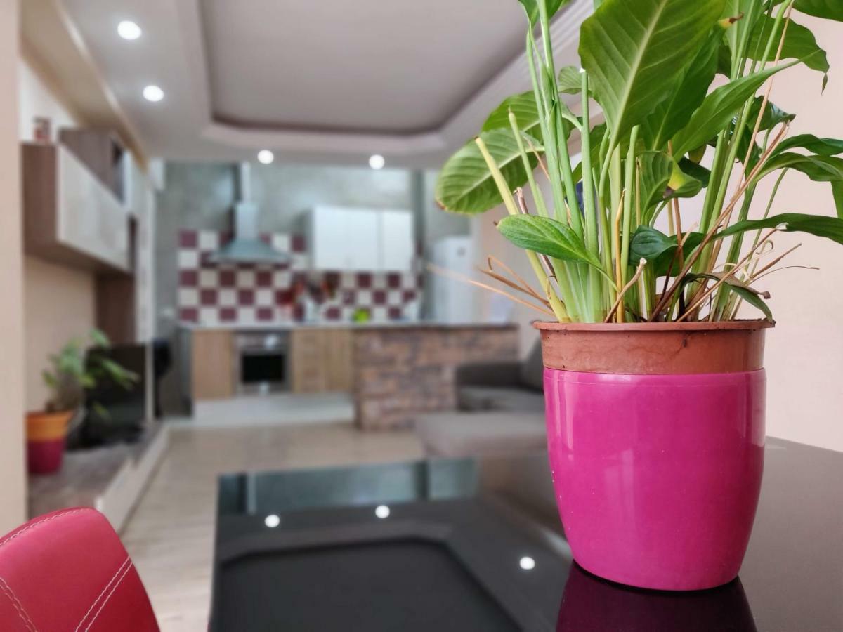 Вилла Cactus Los Cristianos Лос Кристианос Экстерьер фото